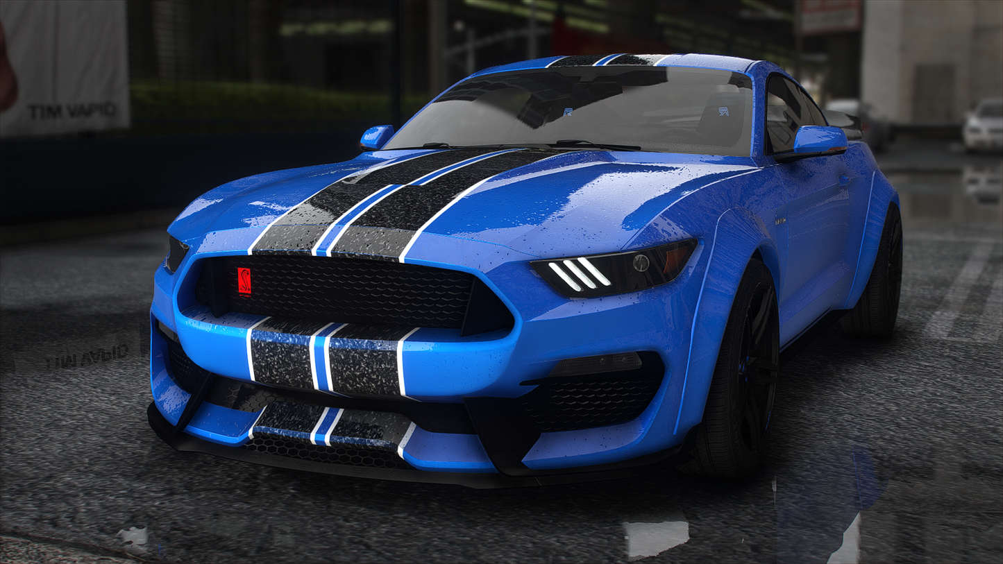 2019 Shelby 350R Custom