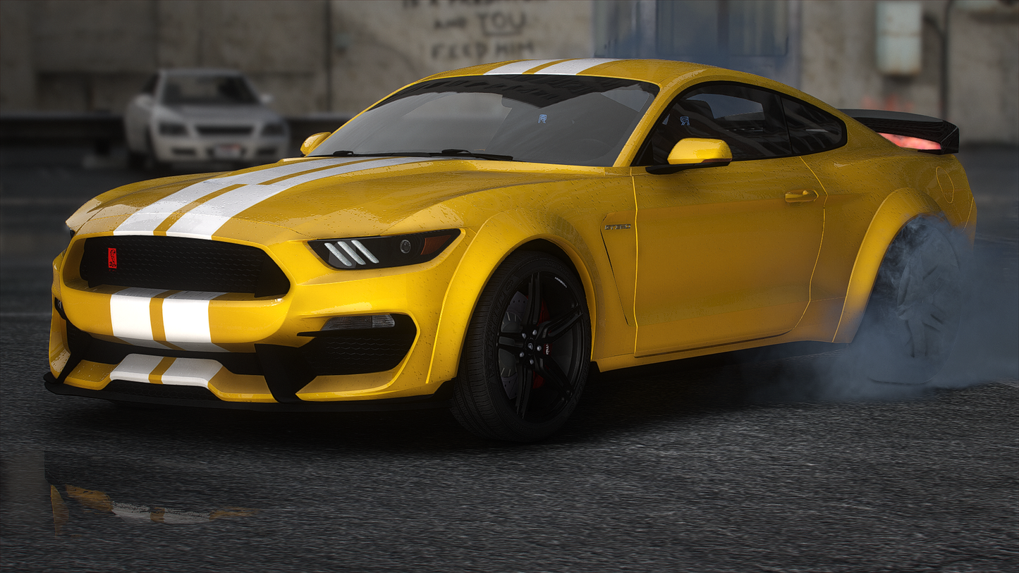 2019 Shelby 350R Custom
