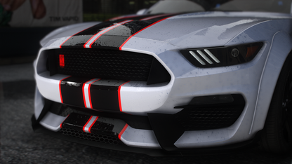 2019 Shelby 350R Custom